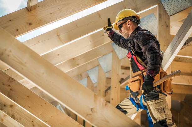 Best Roof Gutter Cleaning  in Horton, KS