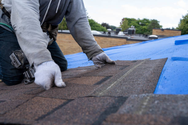 Best Roof Waterproofing Services  in Horton, KS