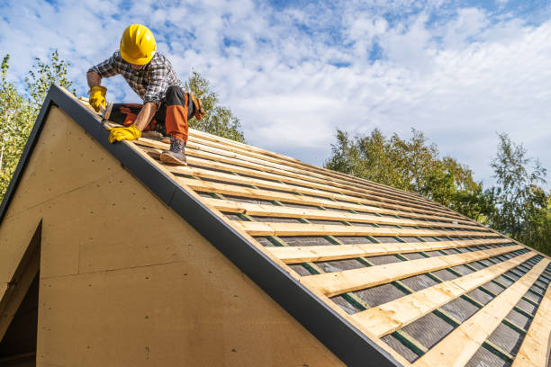 Best Roof Gutter Cleaning  in Horton, KS