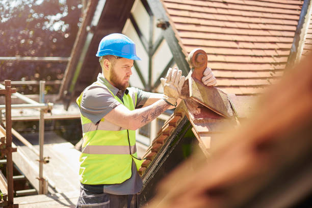 Best Metal Roofing Contractor  in Horton, KS